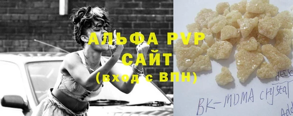 прущие грибы Верея